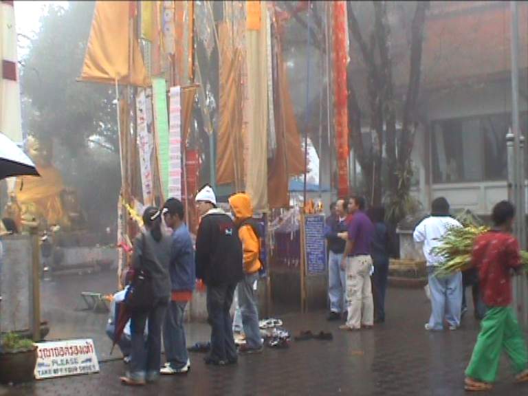 DoiTung 017.jpg 44.8K